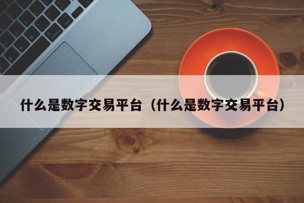 什么是数字交易平台(什么是数字交易平台)