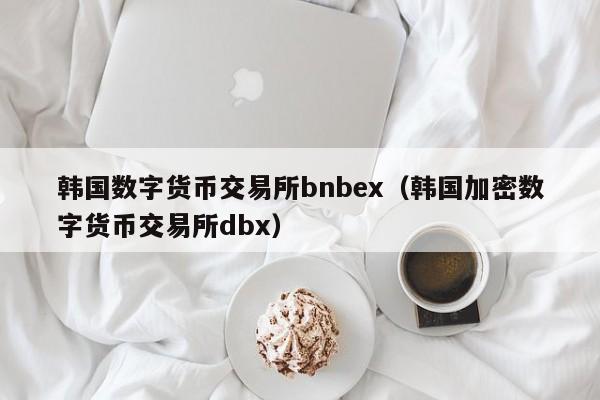 韩国数字货币交易所bnbex(韩国加密数字货币交易所dbx)